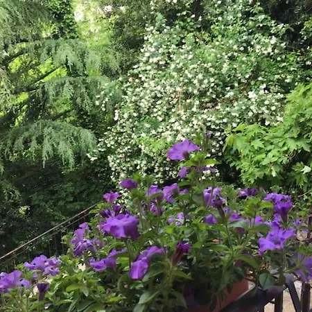 Casa In Con Piscina, Giardino E Posto Auto Apartamento Trieste