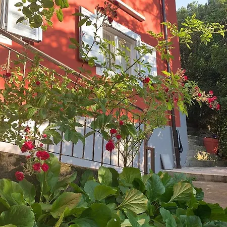 Casa In Con Piscina, Giardino E Posto Auto アパート トリエステ